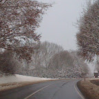 IMG_1057.jpg