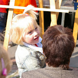 IMGP0074.JPG