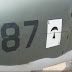 IMG_1537.JPG