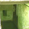 dsc06728.jpg