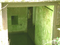 dsc06728.jpg