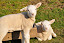 DSC_0091.JPG