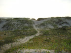 DSC01168.JPG