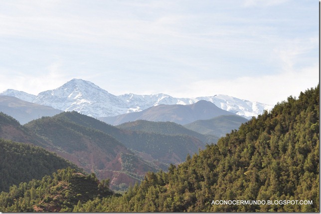 Excursión a Ourika. Camino. Paisaje del Atlas-DSC_0288