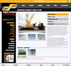Darcy Pacheco site