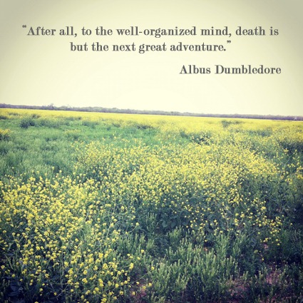 [quote1copy3.jpg]