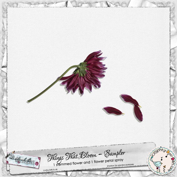 [bed_ttbV1-prv%255B4%255D.jpg]