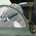 DSC05157.JPG