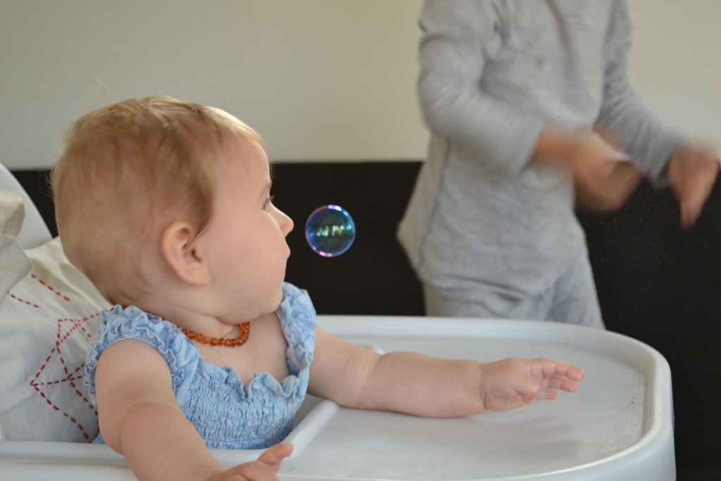 [DSC_0281%255B5%255D.jpg]