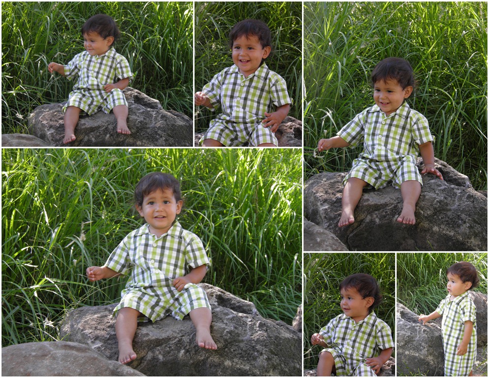 [dragonfly%2520collage.jpg]