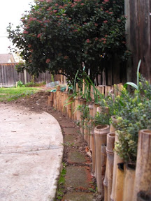 6 month old hugelkultur bed lined with bamboo