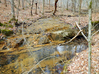 DSCN1914.JPG