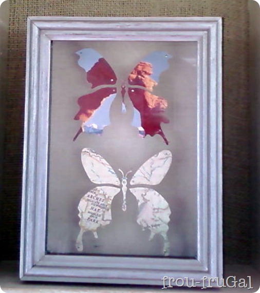 Map & Picture Butterfly Specimens