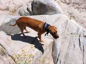 Tia.. not sure how to get down?