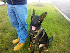 Welcome our New Addition...Quen...just getting off the plane.