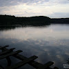 dsc04216.jpg
