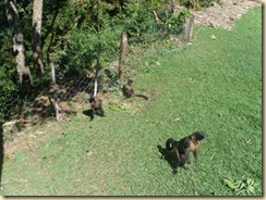 IMG_0416 IMG_0416