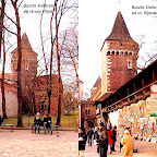 2011-02-137.jpg 2011-02-137.jpg