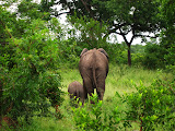 South Africa - 055.JPG