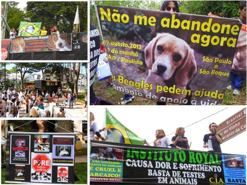 [Resgate-Royal%2520%25282%2529%255B3%255D.jpg]