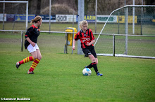 20140222 - HSC D2 - WVV D4 - 003.jpg
