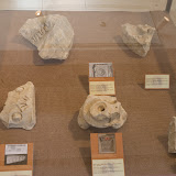 Imatge de l'exposició. praesidium.1.jpg