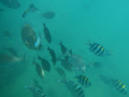 DSCN0039.JPG
