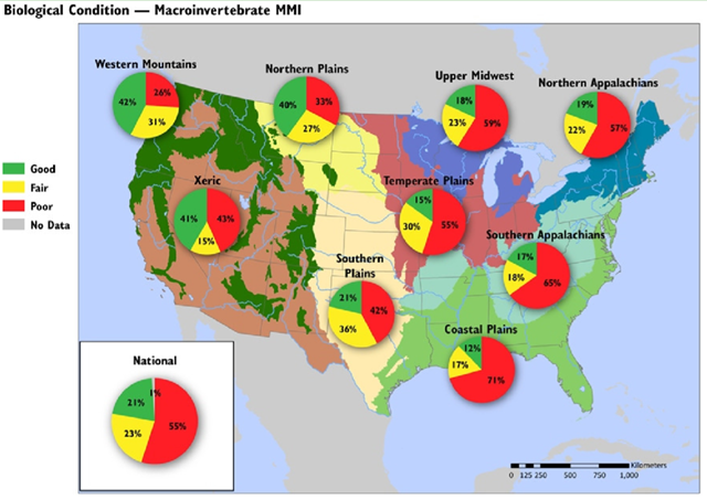 Biological condition in rivers and streams based on the Macroinvertebrate Multimetric Index across the nine U.S. ecoregions. Percents may not add up to 100 due to rounding. Graphic: EPA / NRSA