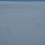 DSC05917.JPG