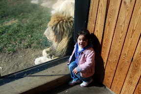 Zoo