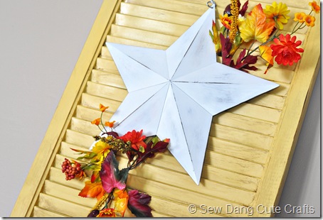 Close up star and foliage