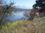 Mt. Baldy and Puddingstone Lake and Blooming Mustard Plants
