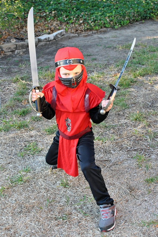 [ninja%255B4%255D.jpg]