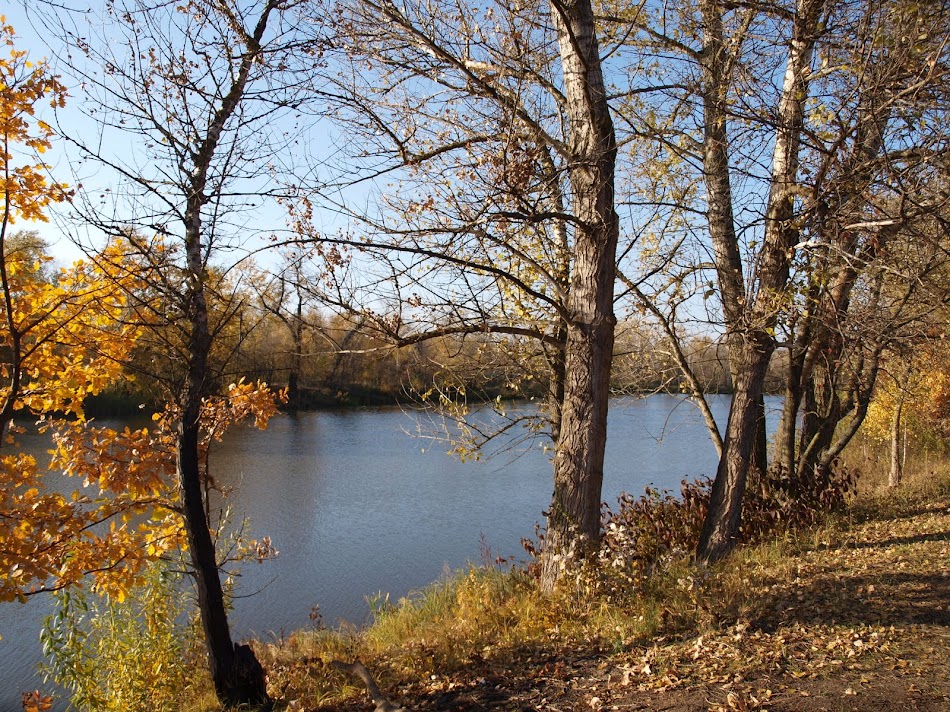 PA235830.JPG