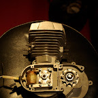 IMGP1113.JPG