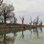 IMG_1579.JPG