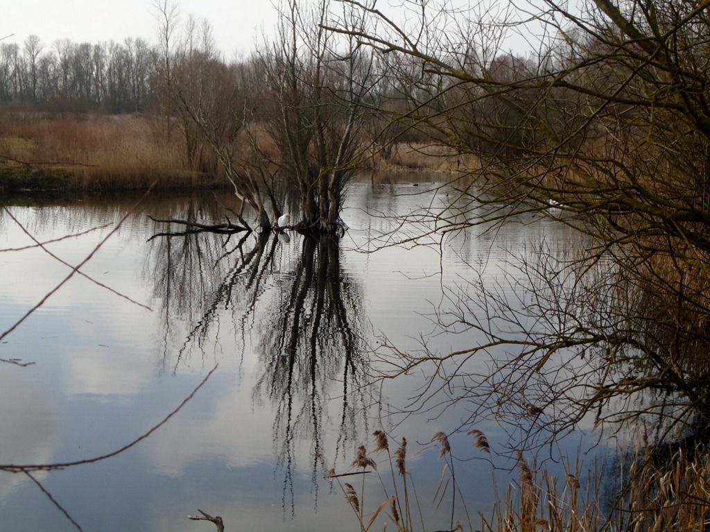 [Fen%2520Drayton%2520Lakes%252003%255B5%255D.jpg]