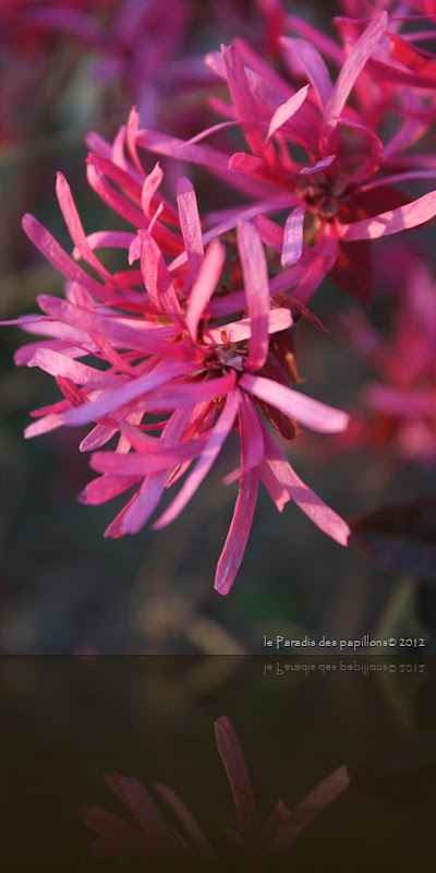 IMG_0813 IMG_0813
