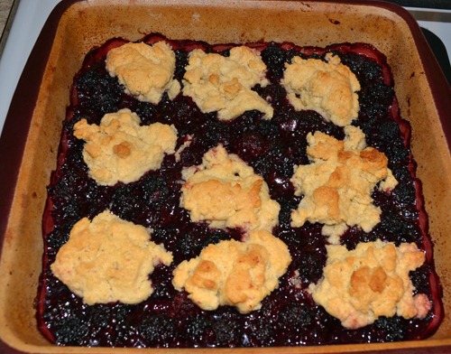 [blackberry%2520cobbler%255B7%255D.jpg]