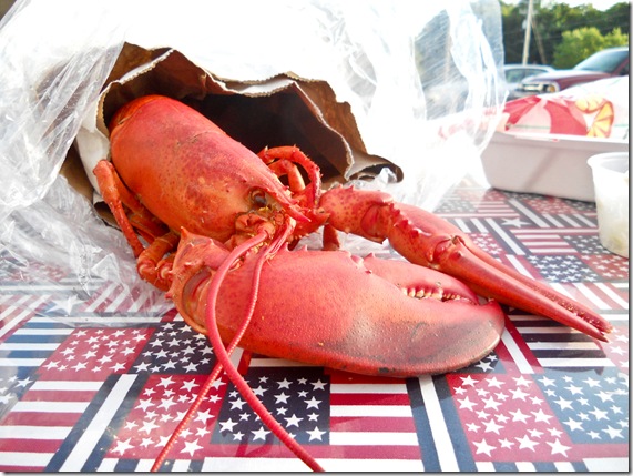 lobster