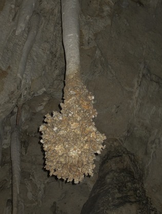 Carlsbad Caverns NM (56)