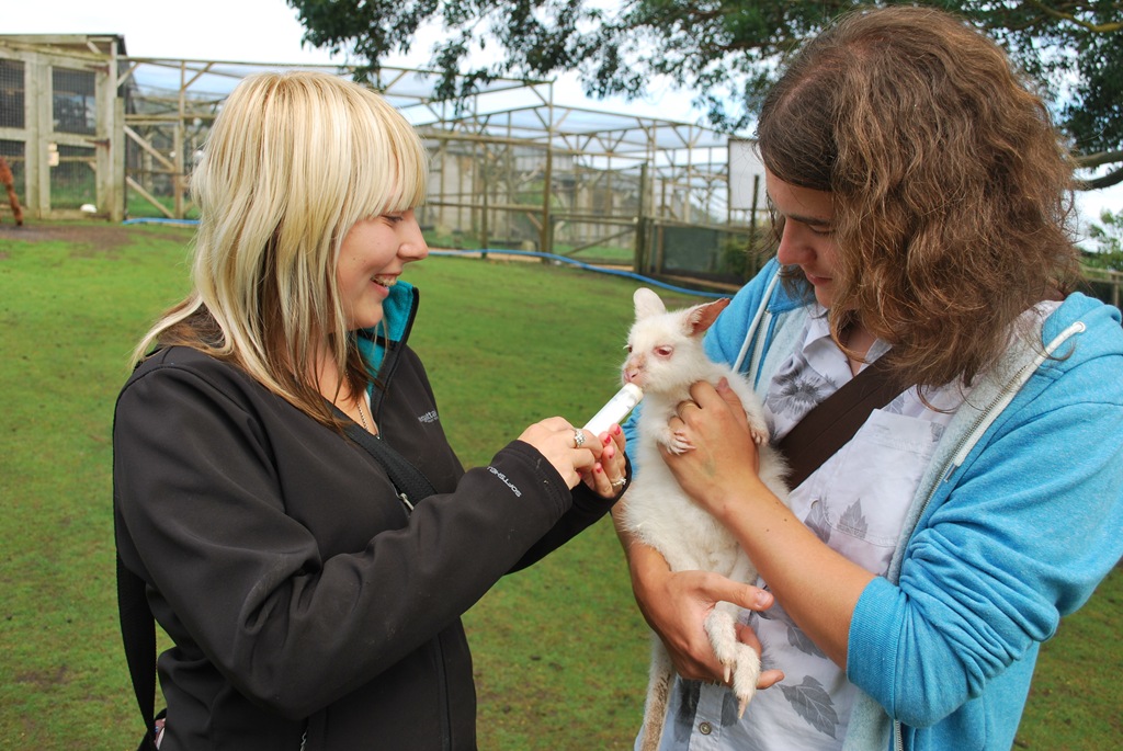 [DSC_0339%255B5%255D.jpg]