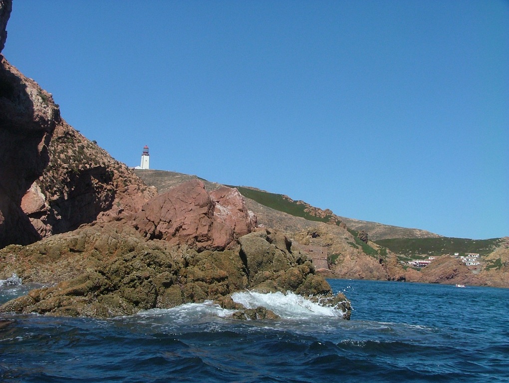 [DSCF11504.jpg]