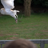 Cub Pack Holiday - Skreens Park 2012 - DSC_0155.jpg
