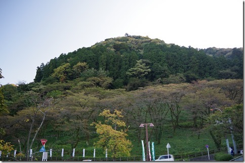 IMGP2987 IMGP2987