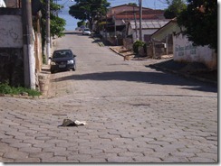 DOMINGUINHO