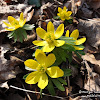 dsc07145.jpg