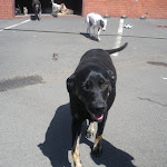 DSCN4680.jpg
