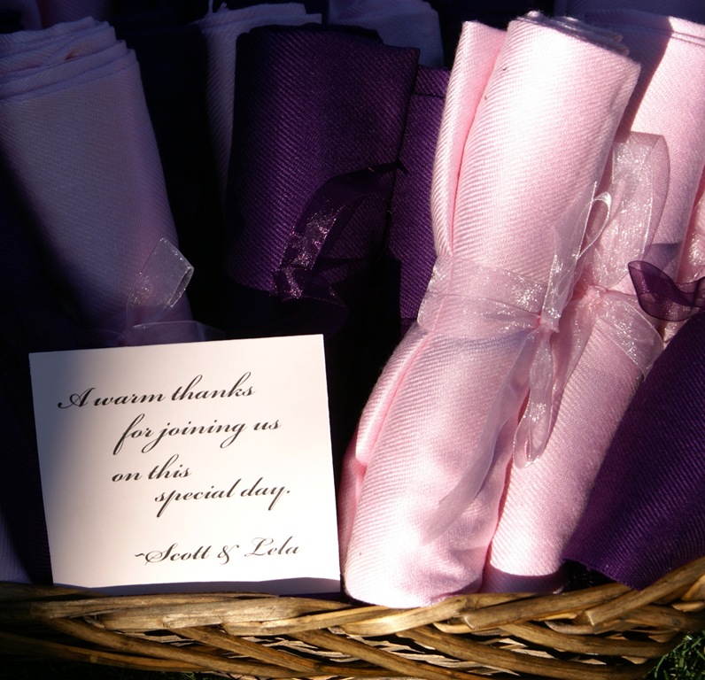 [pashmina742-copy10.jpg]