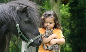 kucing-dan-anak kucing-dan-anak
